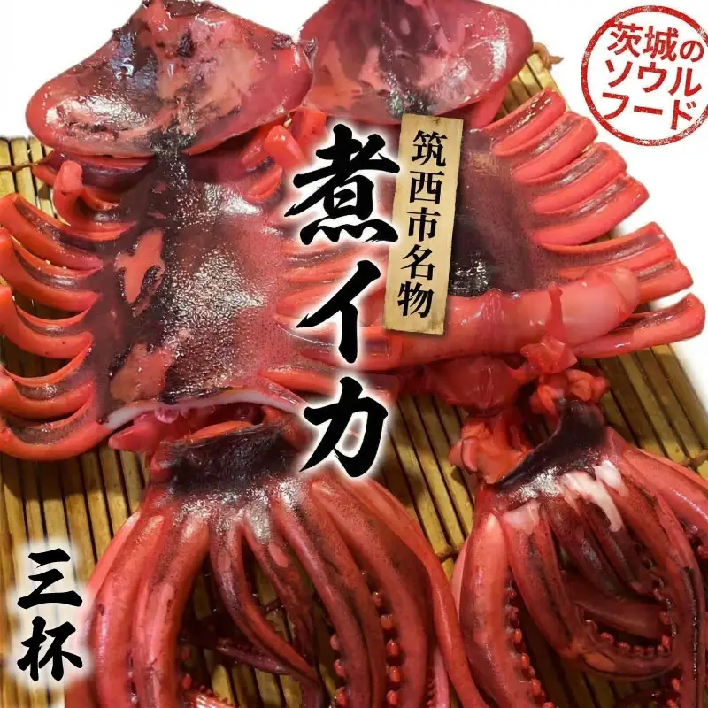 筑西市名物 煮イカ（三杯） いか 筑西 茨城 ソウルフード ご当地グルメ 名物 海鮮 魚介 冷凍 