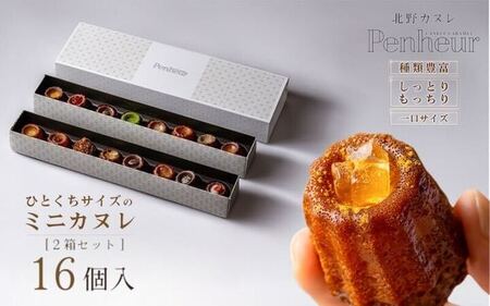 【Penheur】北野カヌレ 16個入り / カヌレ