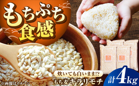 もち麦 キラリモチ 4kg（1kg×4袋）/ もち麦 [41ANAD008]
