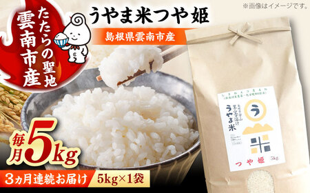 【全3回定期便】つや姫 うやま米 5kg（5kg×1）[AIDB089] 米 定期便
