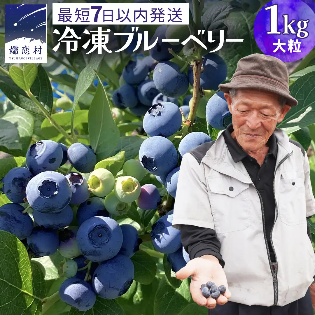 【 最短 7日以内 発送 】 冷凍ブルーベリー 大粒 1kg 数量限定 国産 フルーツ スムージー 果物 くだもの 農家直送 スイーツ アイス ノーザンハイブッシュ系 ミックス [AT015tu]