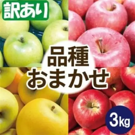 【12月～翌年3月出荷予定】りんご 品種おまかせ 約3kg 訳あり【配送不可地域：離島・沖縄県】【1668106】