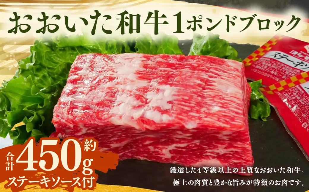 おおいた和牛 1ポンド ブロック 計約450g ステーキソース付き