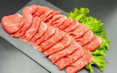 【3カ月定期便】 【赤身づくし！】 おおいた和牛 赤身焼肉 ・ 赤身スライス ・ 赤身ステーキ 約1.2kg×3回 計約3.6kg