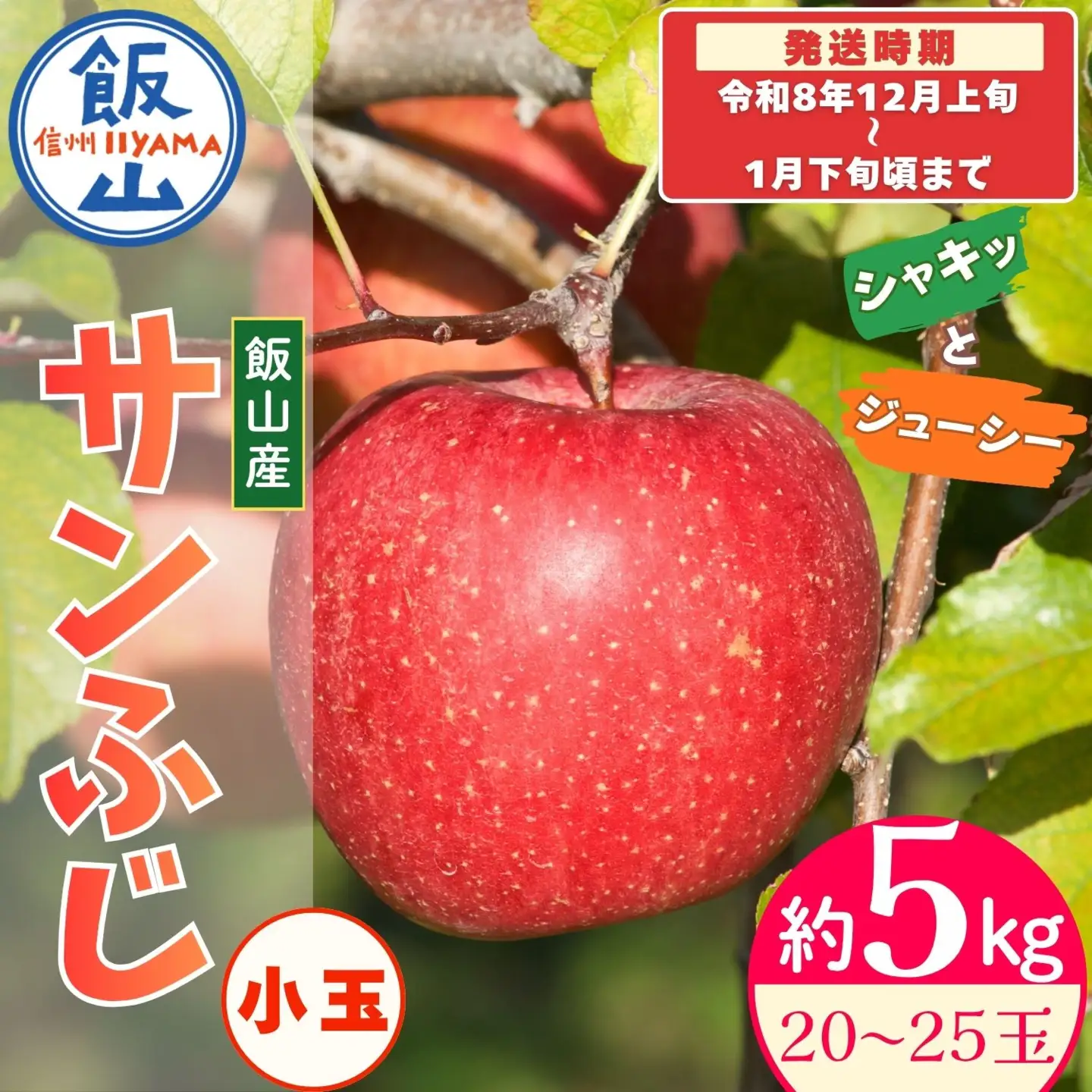 【先行予約】サンふじ 小玉【約5kg(20?25玉)】りんご