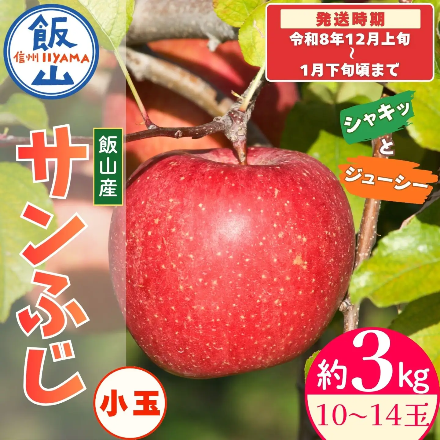 【先行予約】サンふじ 小玉【約3kg(10?14玉)】りんご 
