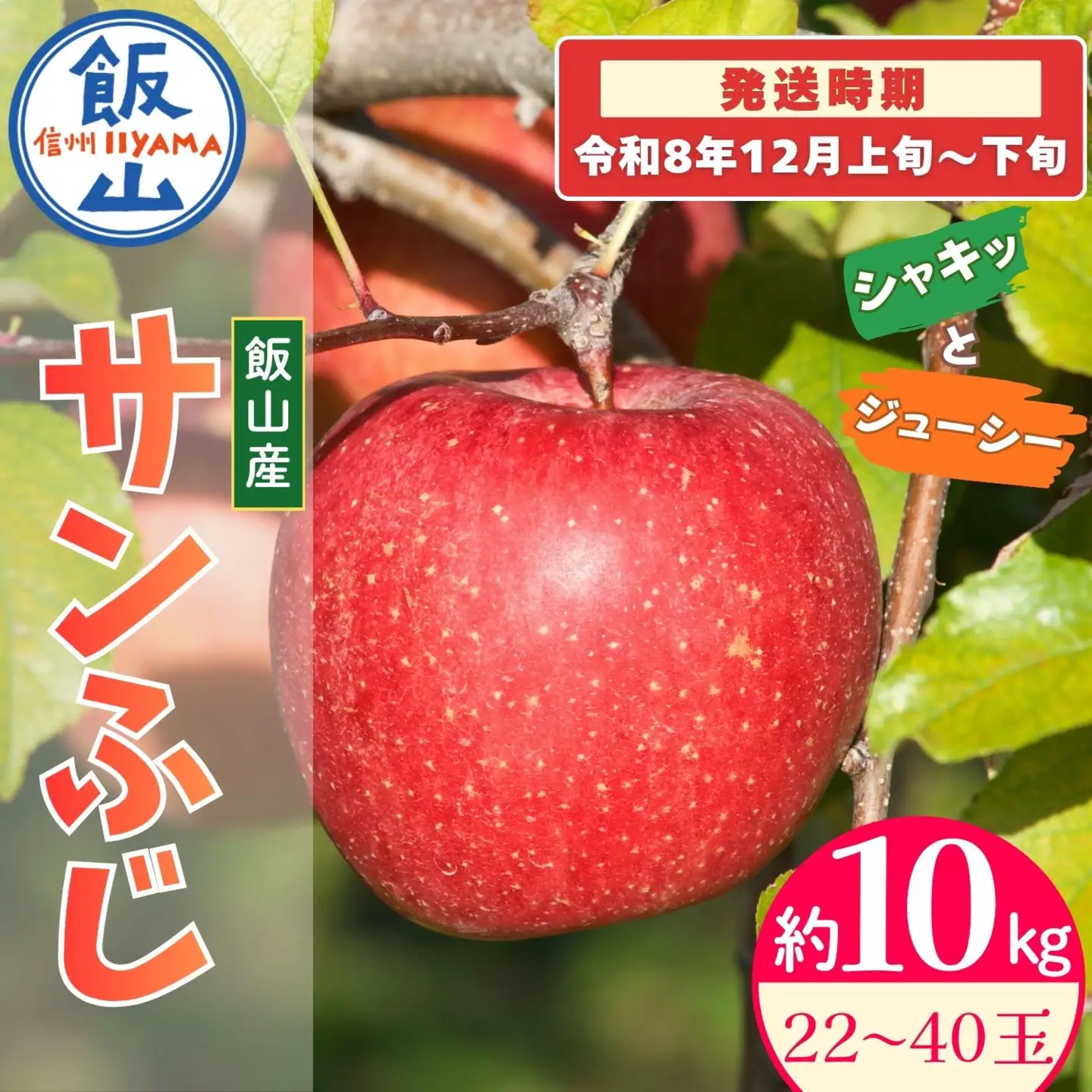 【先行予約】サンふじ【約10kg(22?40玉)】りんご