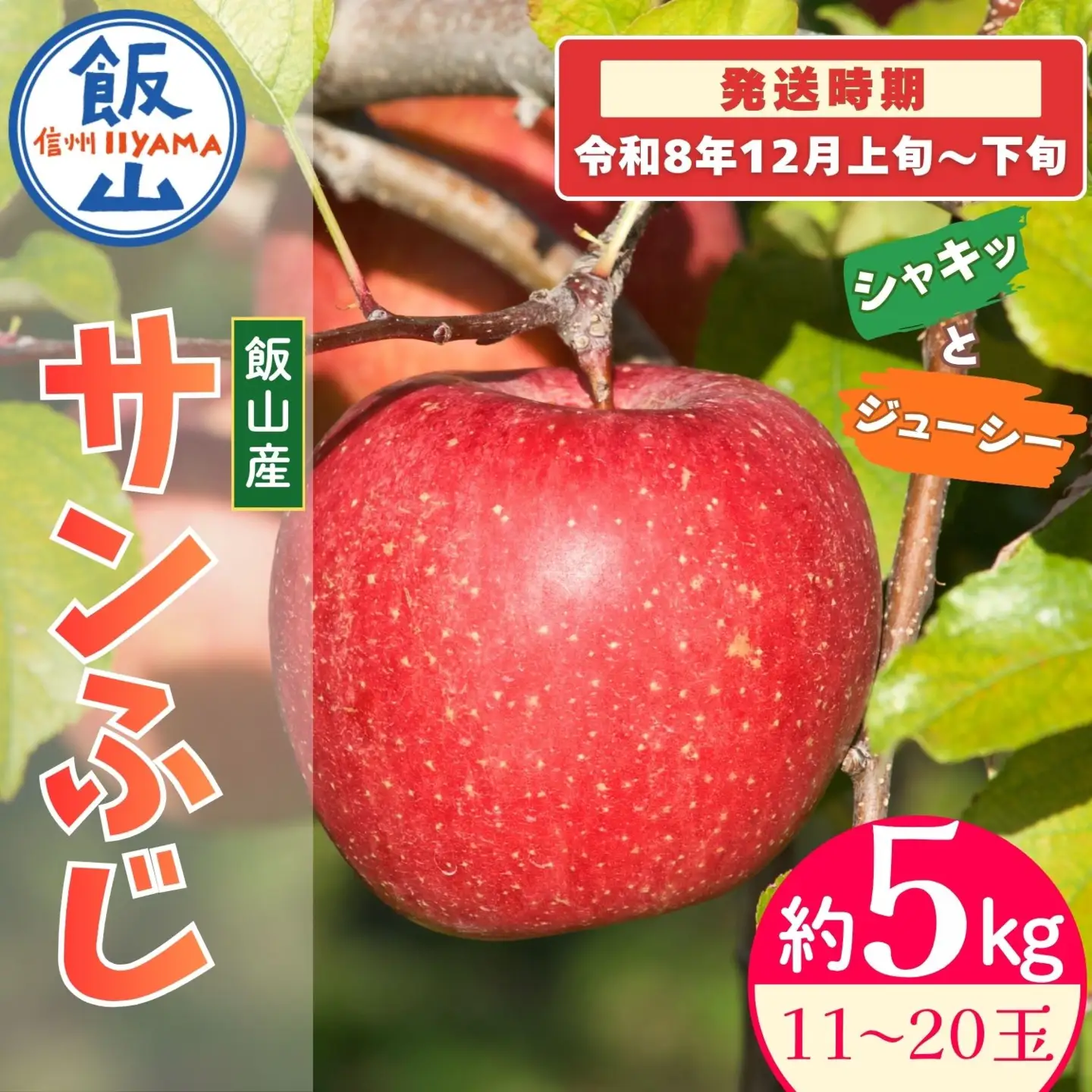 【先行予約】サンふじ【約5kg(11?20玉)】 りんご