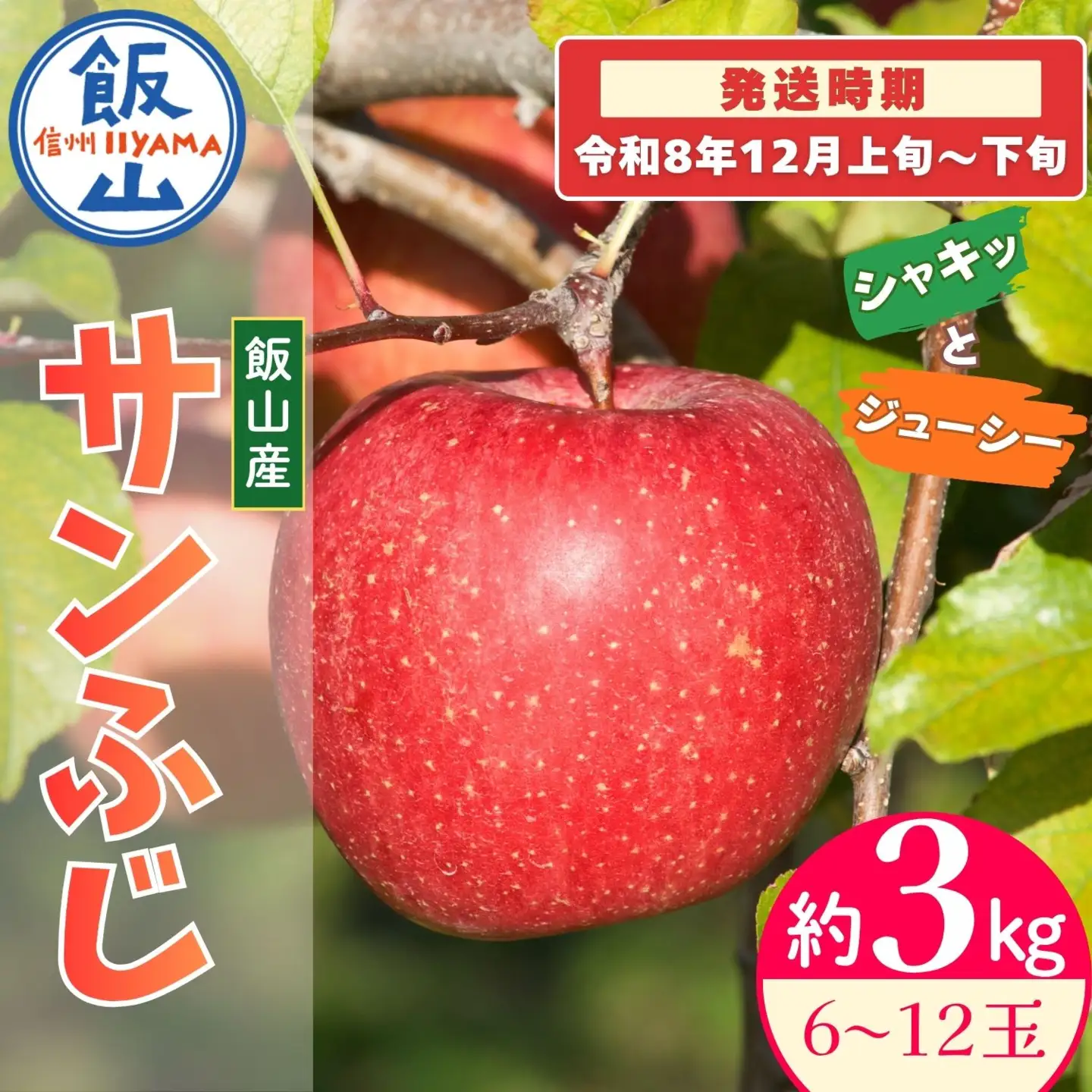 【先行予約】サンふじ【約3kg(6?12玉) 】りんご