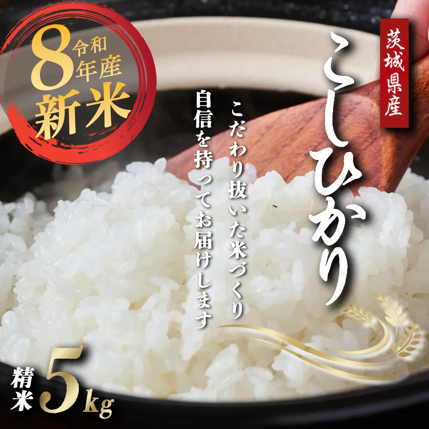 【9月上旬より順次発送】令和8年産 コシヒカリ 精米 5kg 新米 こしひかり