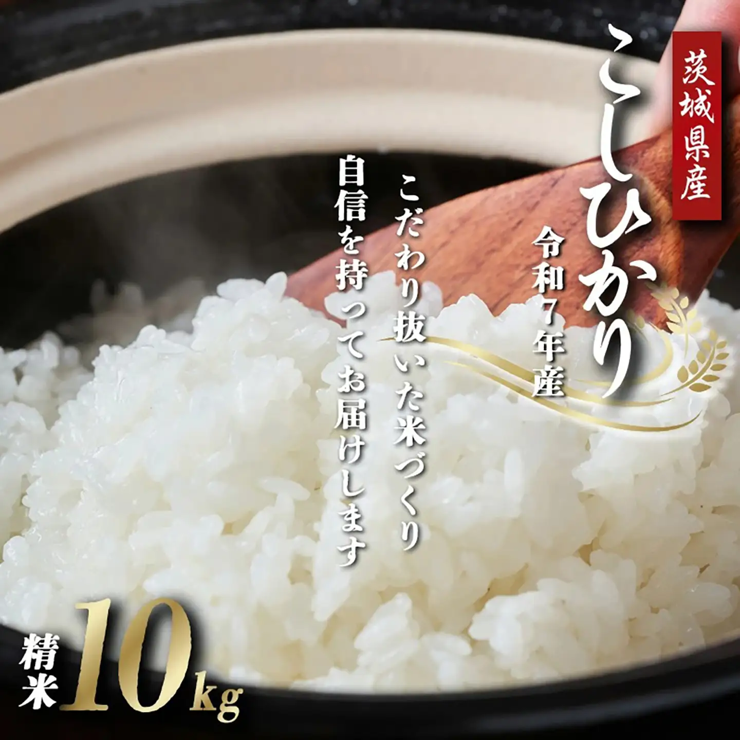 米 こしひかり 令和7年産 コシヒカリ 精米 10kg