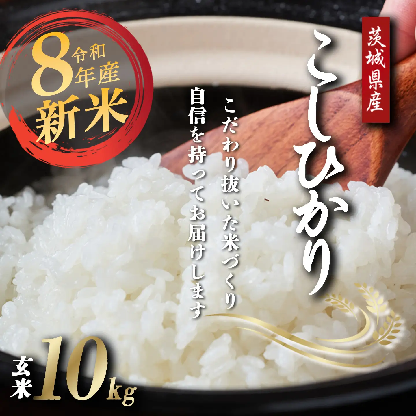 【9月上旬より順次発送】令和8年産 コシヒカリ 玄米 5kg 新米 こしひかり