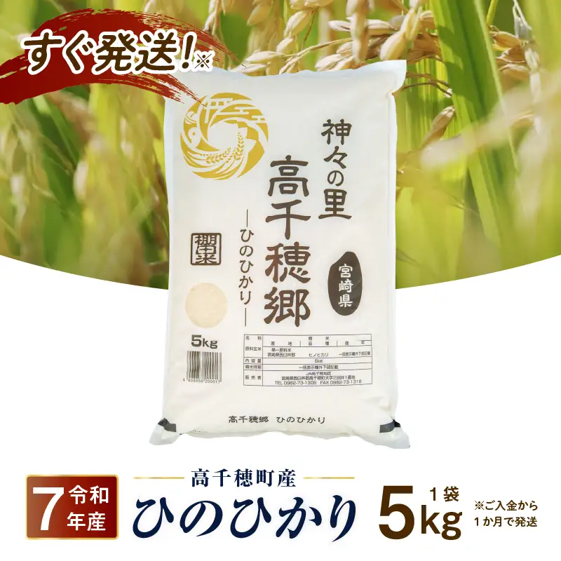 【令和7年産】JA高千穂地区 ひのひかり 5kg 高千穂産 5kg 1袋 食品 米 お米 白米 ごはん 白飯 精米 国産 宮崎県産 単一原料米 農作物 農産物 おすそ分け 普段使い 日常 炭水化物 主食 贈答 贈り物 ギフト プレゼント おすすめ 宮崎県 高千穂町 _Tk004-069