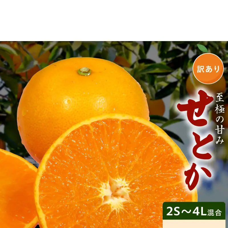 【2027年先行予約】訳あり せとか 和歌山 有田 2S～4Lサイズ混合 約2kg_DZ6230