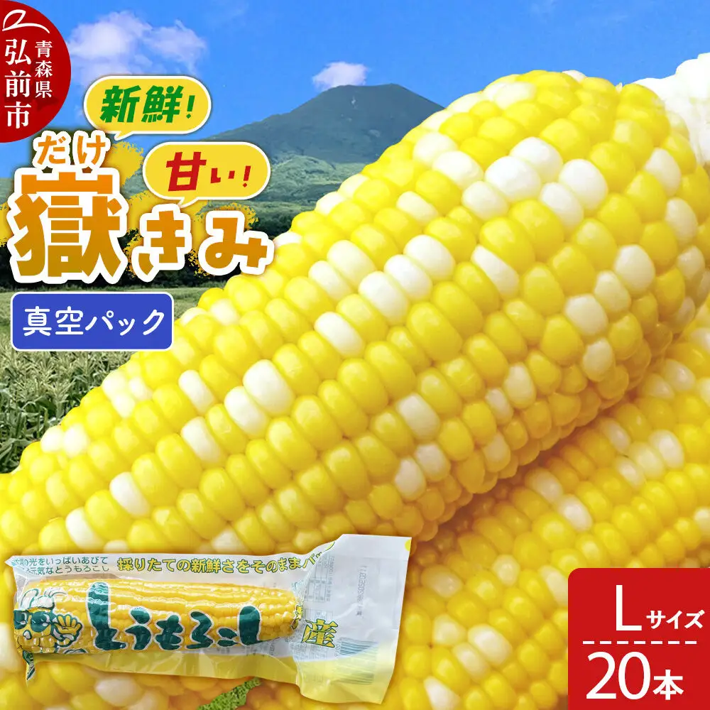 【26年10月中旬～発送】とうもろこし 嶽きみ真空パック Lサイズ 20本 しらかみラボ