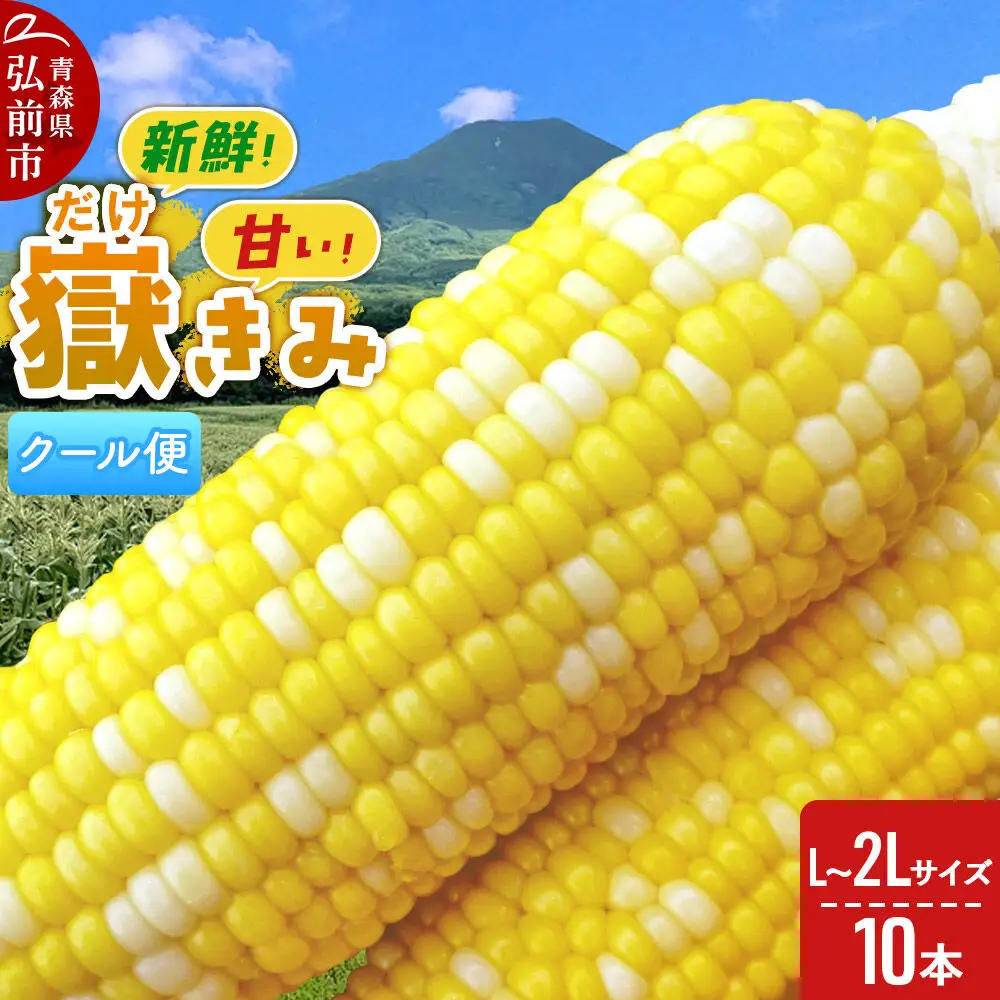 【26年8月下旬～クール便発送】とうもろこし 嶽きみ【先行受付】L～2Lサイズ 10本 しらかみラボ
