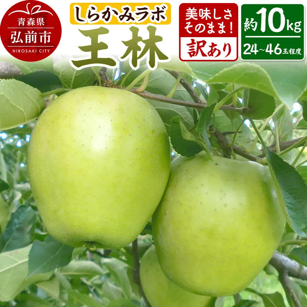 【26年12月中旬～発送】りんご 王林【訳あり】約10kg 先行受付 しらかみラボ 家庭用 青森県 弘前市 果物 フルーツ 林檎 リンゴ くだもの 不揃い 規格外
