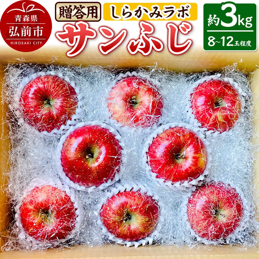 【26年12月中旬～発送】りんご サンふじ【贈答用】約3kg 先行受付 しらかみラボ 青森県 弘前市 果物 フルーツ 林檎 リンゴ くだもの ギフト 贈り物