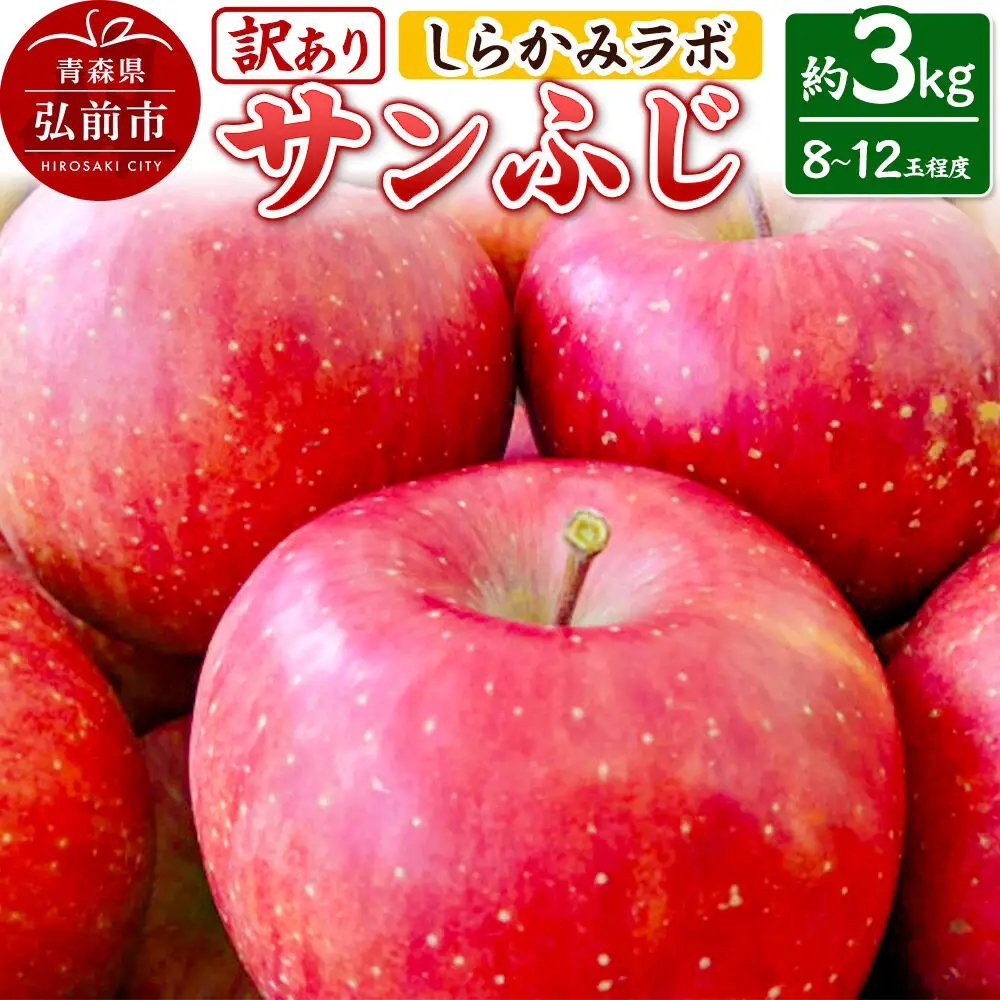 【26年12月中旬～発送】りんご サンふじ【訳あり】約3kg 先行受付 しらかみラボ 家庭用 青森県 弘前市 果物 フルーツ 林檎 リンゴ くだもの 不揃い 規格外