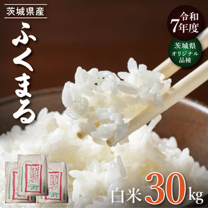 ★茨城県オリジナル品種★R7年産 ふくまる 白米30kg|お米 米 ふくまる 白米 茨城県 取手市（BQ003）