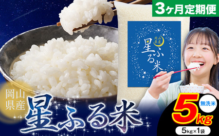 【3ヶ月定期便】無洗米 星ふる米 5kg mt