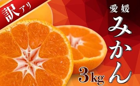 【訳あり】 愛媛みかん 3kg みかん