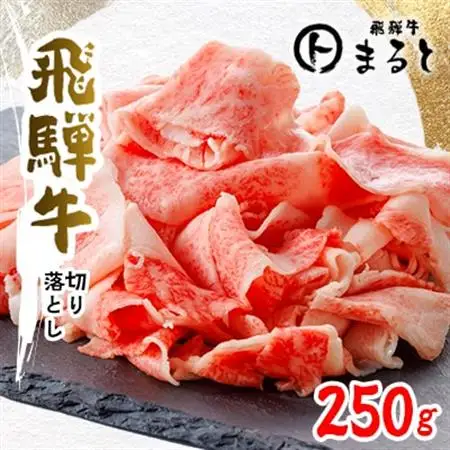 【飛騨牛】切り落とし　250g入り【配送不可地域：離島】【1638261】