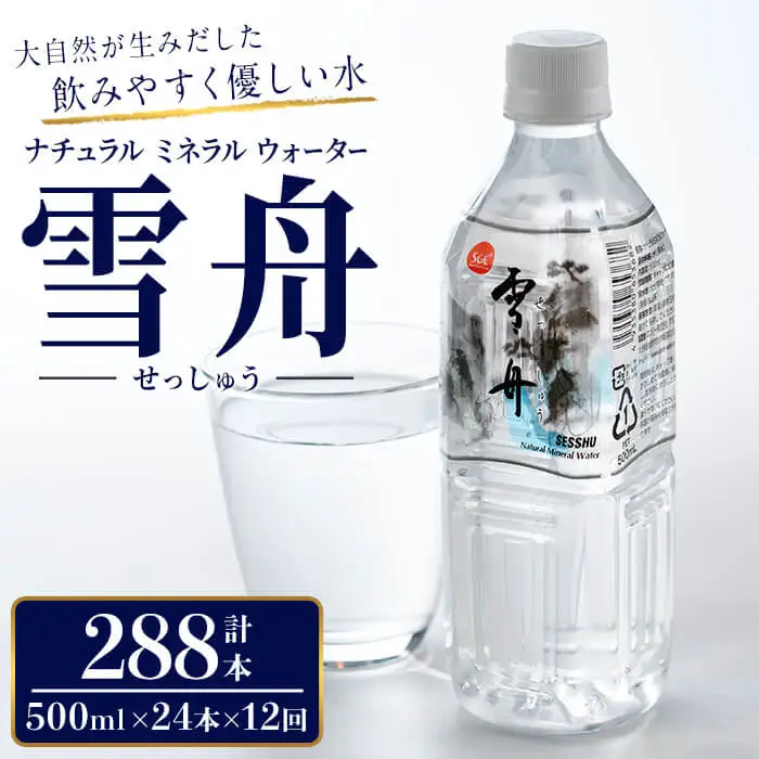 ナチュラル ミネラル ウォーター 雪舟 500ml (計288本) 定期 国産 鉱泉水 水 お水 ミネラル ドリンク 飲料 ペットボトル 防災 備蓄 アウトドア 常温 【opbz010】【さいき本舗 城下堂】