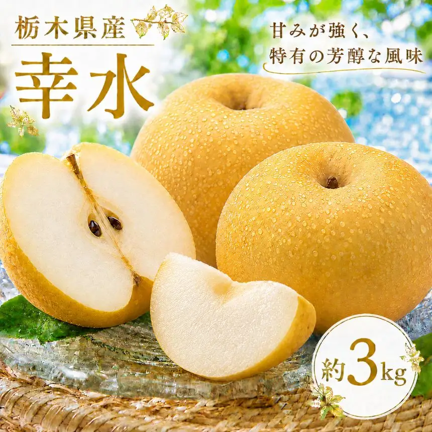 【2026年先行予約】 幸水 3㎏ 真岡市産 梨 なし