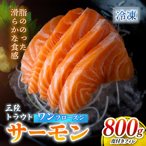 サーモン 800g 国産 刺身 ＼ サーモン ／