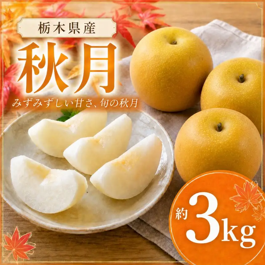【2026年先行予約】 秋月 3㎏ 真岡市産 梨 なし