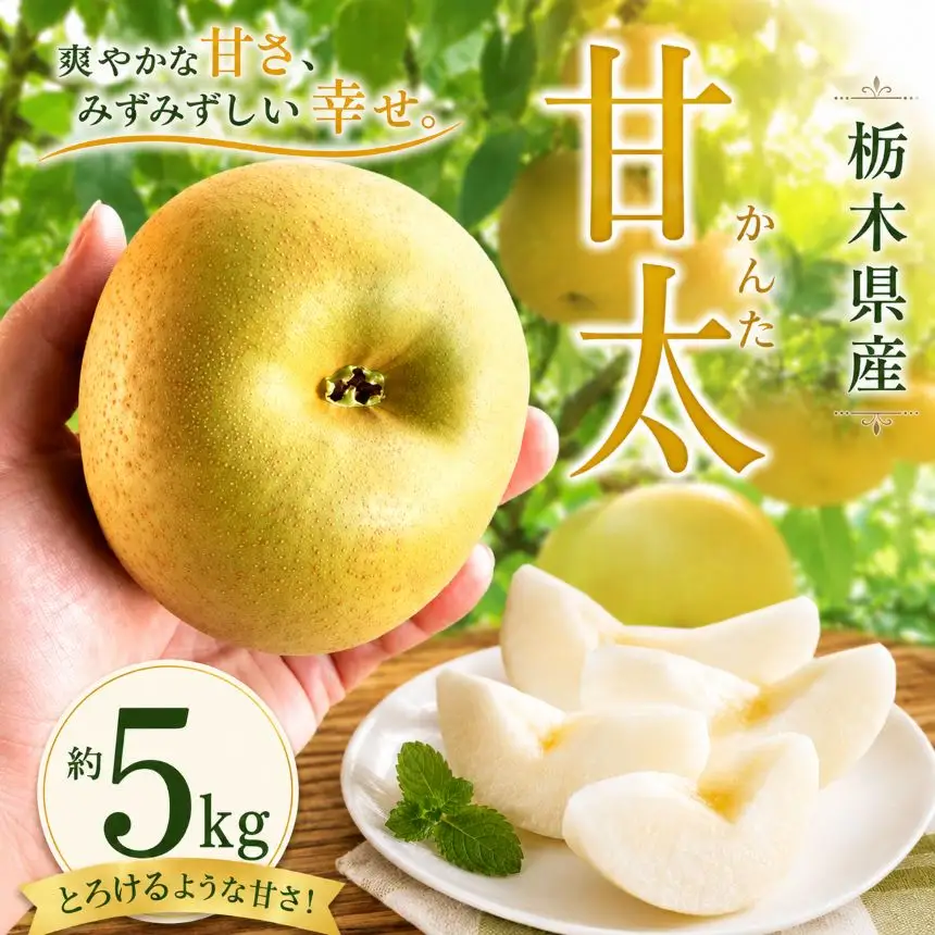 【2026年先行予約】 甘太 5㎏ 真岡市産 梨 なし