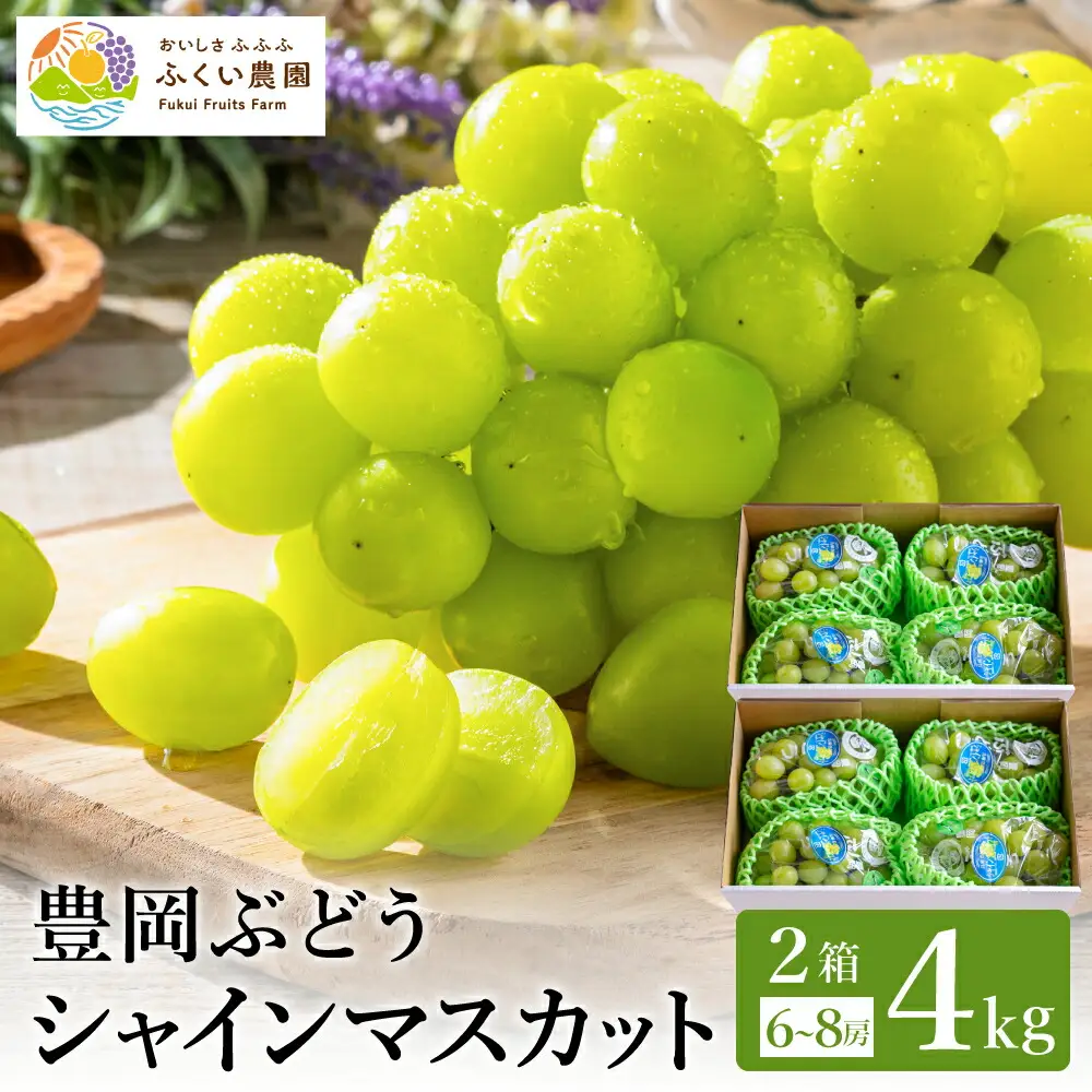 【2026年先行予約】豊岡ぶどう シャインマスカット ２箱  約4kg / 豊岡ブドウ 産地直送 糖度が高い 濃厚 甘味 上品な香り 歯切れの良い 皮ごと 食べられる 減農薬 シャイン マスカット ぶどう ブドウ 葡萄 果物 くだもの フルーツ ふくい農園