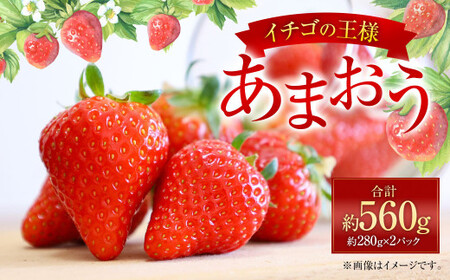 福岡県産 あまおう 約280g×2パック 合計560g 果物 くだもの フルーツ 苺 いちご イチゴ ストロベリー デザート 福岡県 太宰府市【2027年1月上旬～4月上旬発送予定】