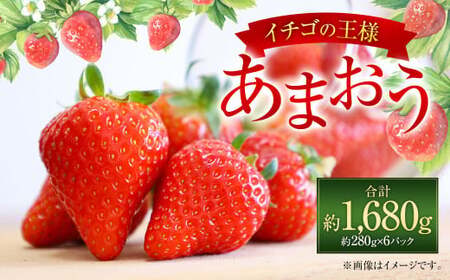 福岡県産 あまおう 約280g×6パック 合計1680g 果物 くだもの フルーツ 苺 いちご イチゴ ストロベリー デザート 福岡県 太宰府市【2027年1月上旬～4月上旬発送予定】