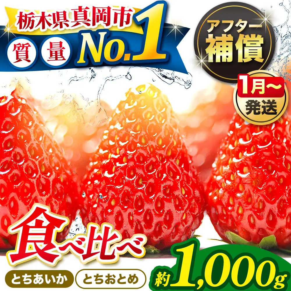 【2027年先行予約受付中】いちご とちおとめ・とちあいか 食べ比べ 1000g