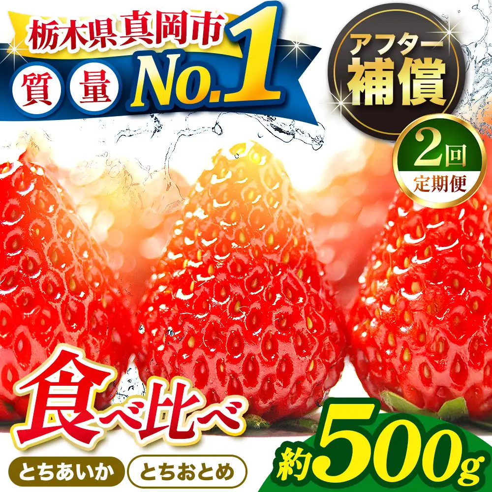 【2027年 先行予約受付中】【定期便2回】いちご とちおとめ・とちあいか 食べ比べ 500g