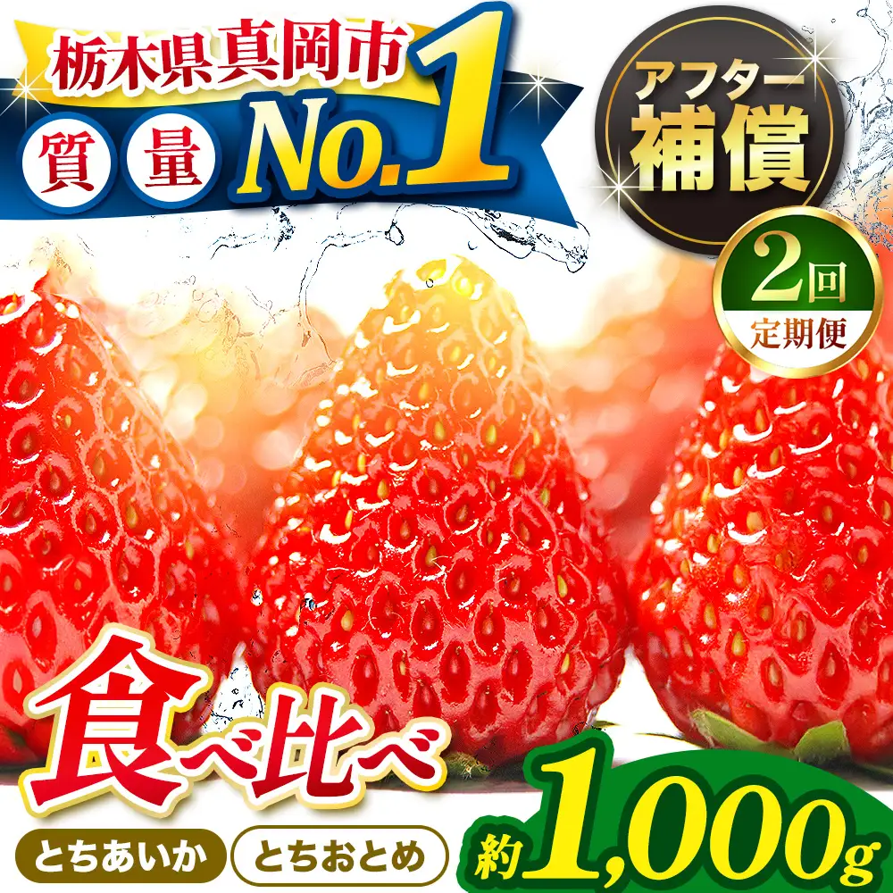 【2027年 先行予約受付中】【定期便2回】いちご とちおとめ・とちあいか 食べ比べ 1000g