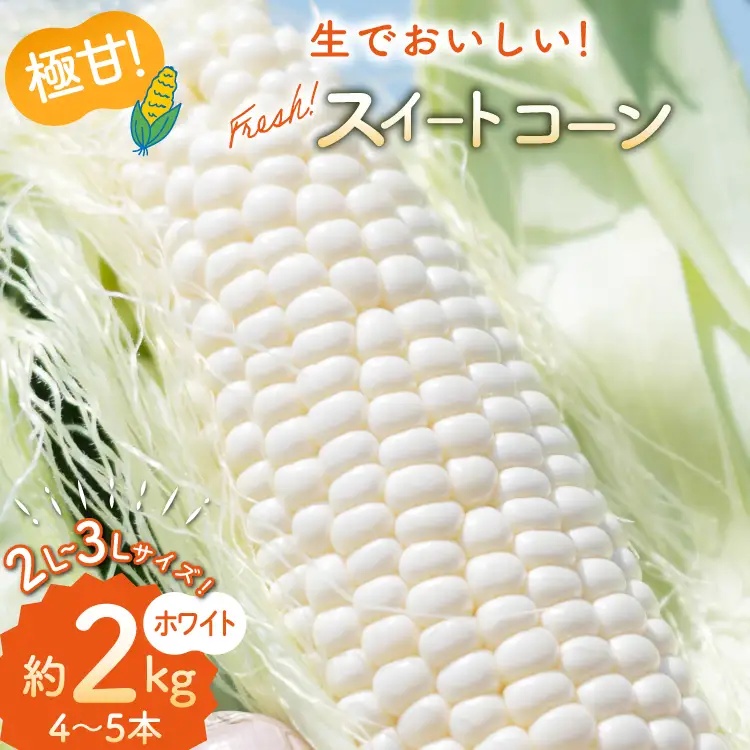 BJ453【令和9年度出荷分】 とうもろこし スイートコーン ホワイト 2L〜3Lサイズ 4本〜5本 約2kg