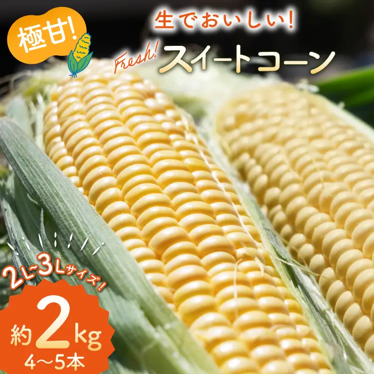 BJ454【令和9年度出荷分】 とうもろこし スイートコーン イエロー 2L〜3Lサイズ 4本〜5本 約2kg