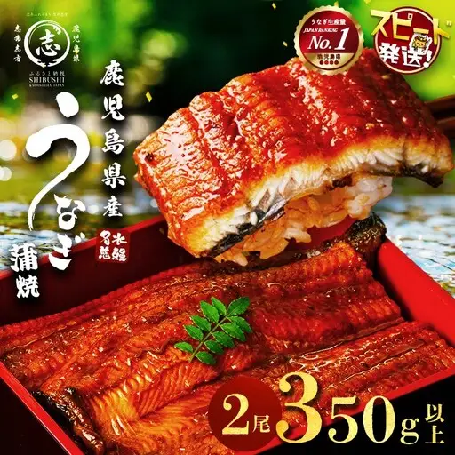 鹿児島県産うなぎ蒲焼 名水慈鰻 2尾＜計350g以上＞ うなぎ 鰻 ウナギ 国産 九州産 蒲焼 かばやき 人気 うな重 ひつまぶし a3-236