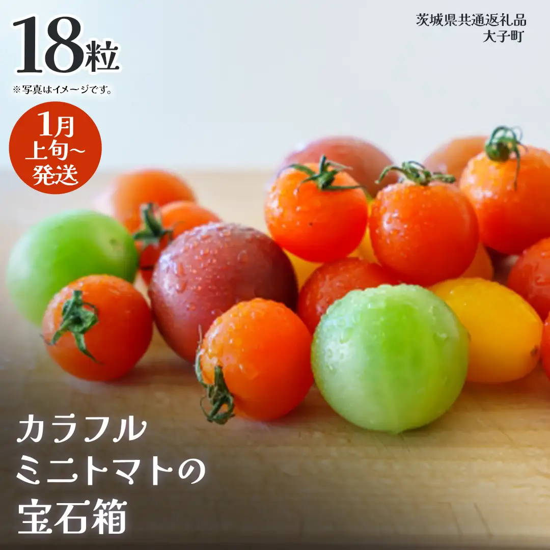 カラフル ミニトマト の宝石箱 18粒【2027年1月上旬発送開始】(茨城県共通返礼品：大子町) 野菜 フルーツ 旬 季節限定 期間限定