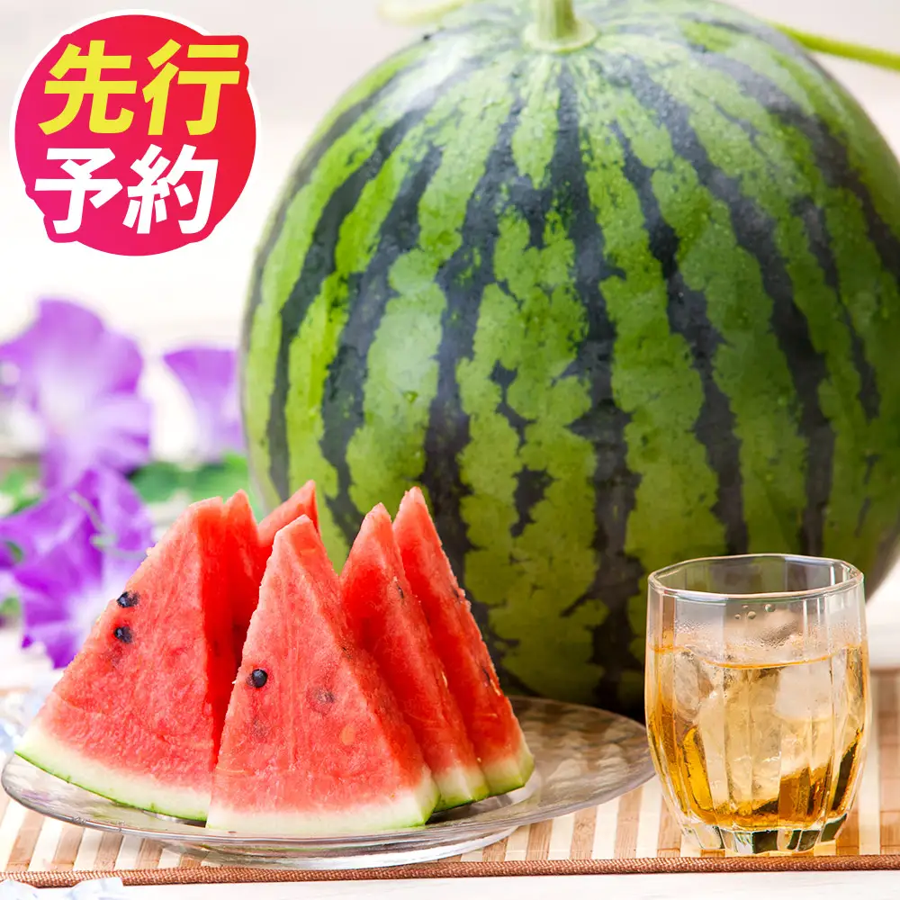 ＜ R8年熊本地震復興支援 ＞植木産 すいか Lサイズ 1玉 【2027年4月下旬～6月下旬迄順次発送予定】 スイカ 西瓜 果物 くだもの フルーツ