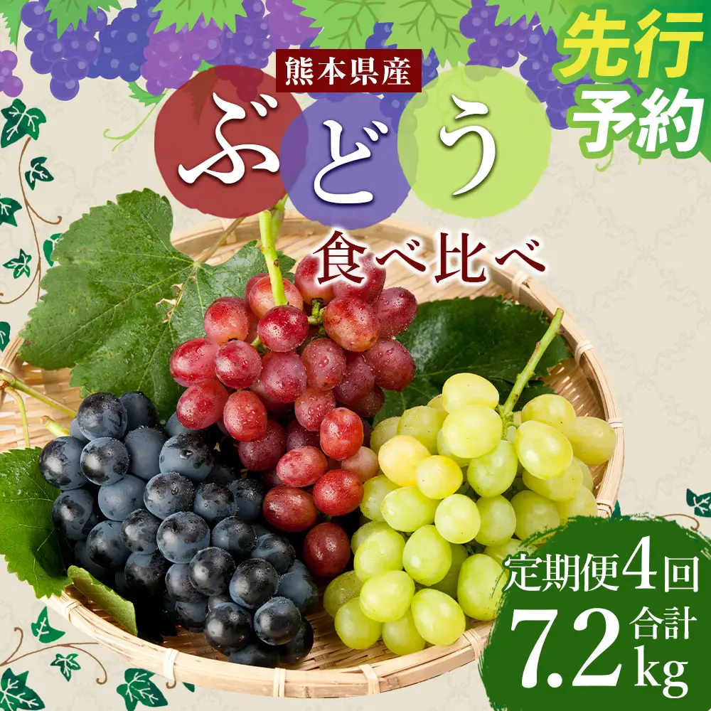 ＜ R8年熊本地震復興支援 ＞ 【4回定期便】ぶどう食べ比べ 約1.8kg （3～5房）×4回 合計約7.2kg【2027年7月下旬～10月下旬迄順次発送予定】ブドウ 果物 フルーツ 食べ比べ 定期便