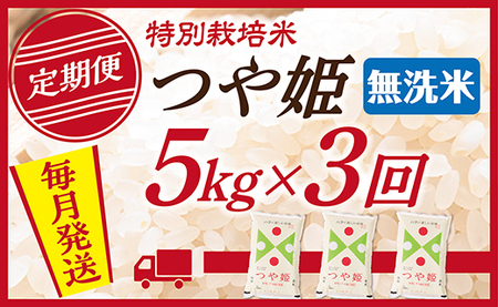 【定期便】【無洗米】 令和8年産予約 山形県産 つや姫 5kg (5kg×1) 3回配送