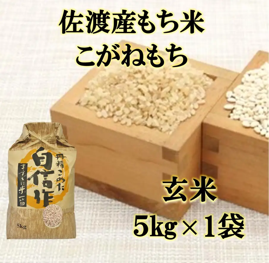 もち米 玄米 5kg | 新潟県 佐渡市 もち米