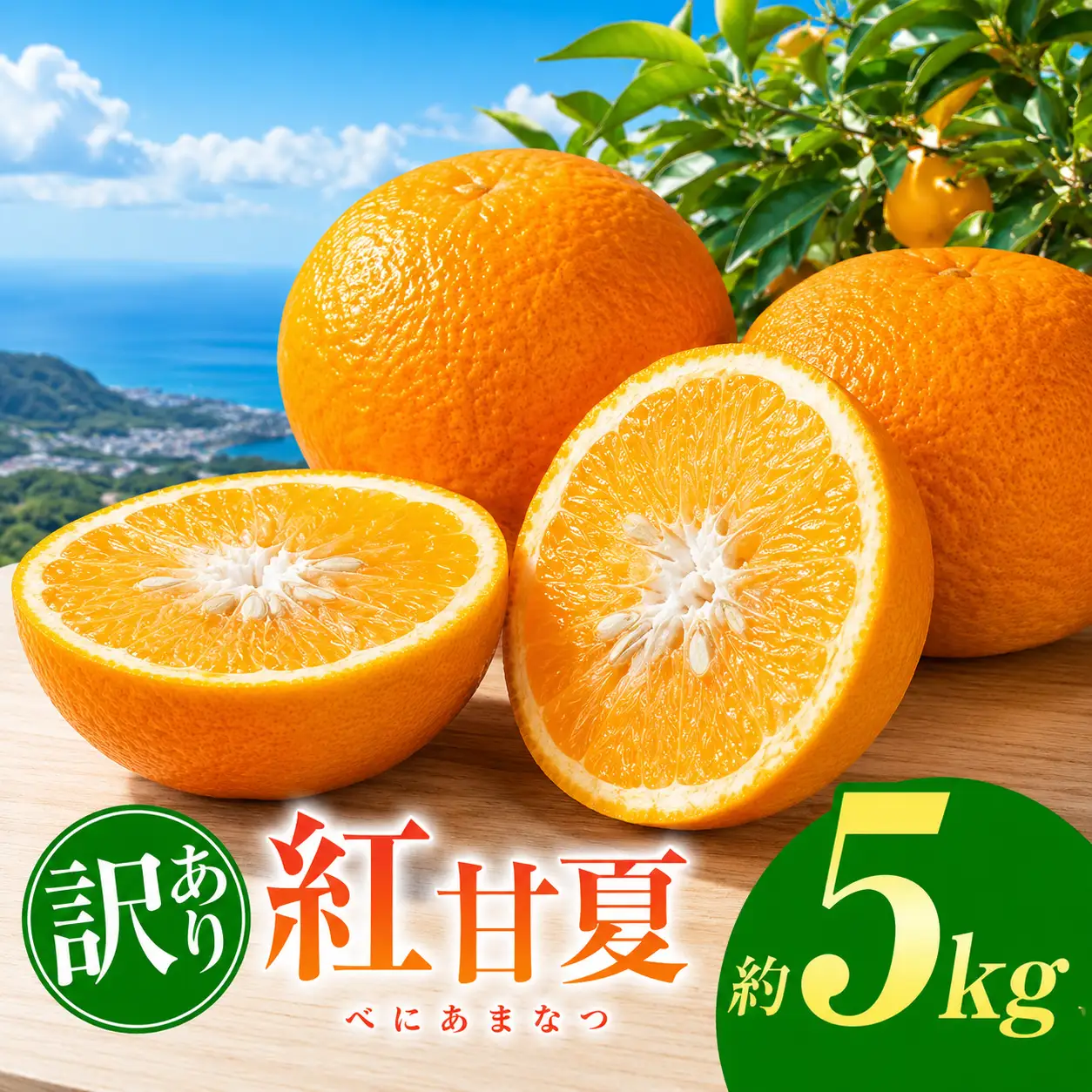 訳あり 紅甘夏 約 5kg | 甘夏