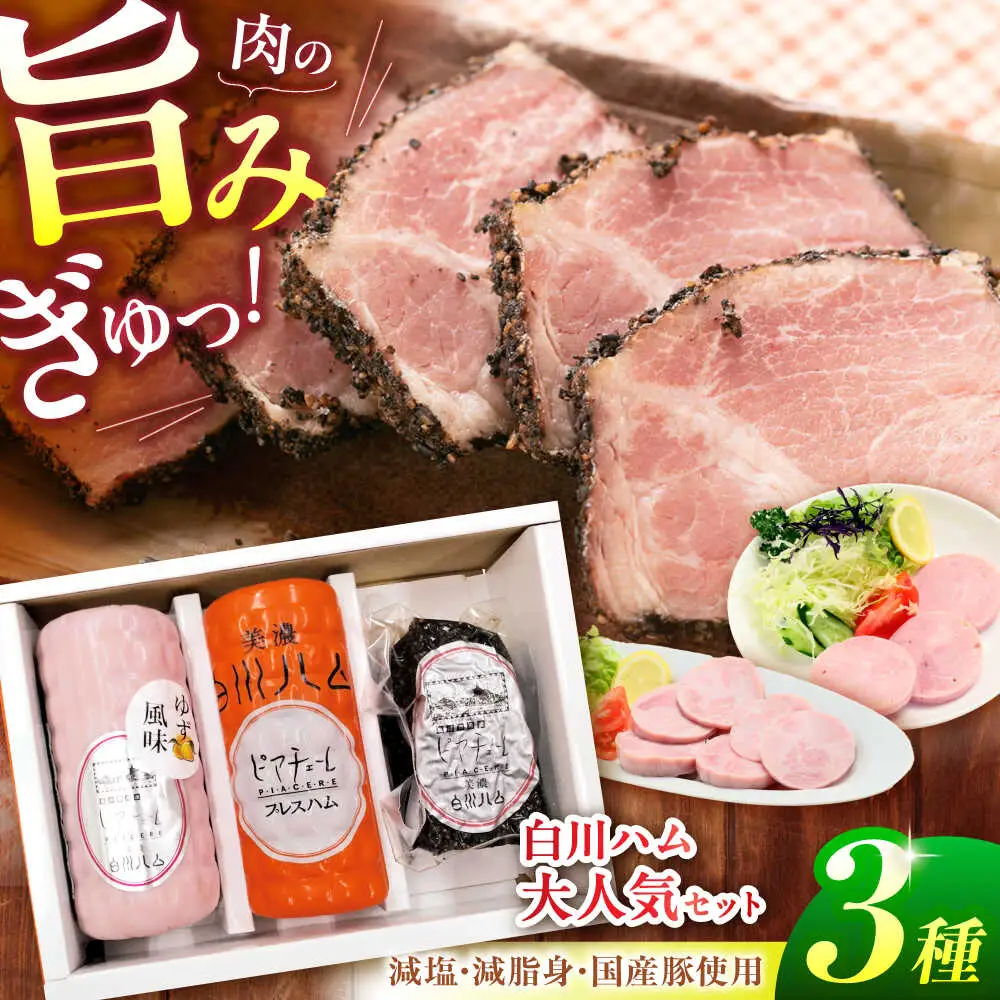 白川ハム 人気！3種セット / 白川町農業開発[AWAH015]ハム