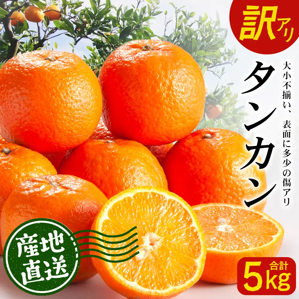 【訳あり】※先行予約・数量限定※ 南大隅の太陽浴びた甘くて・おいしい タンカン 約5kg≪2027年2月中旬以降順次発送≫ ID-3｜訳あり 訳アリ たんかん タンカン 柑橘 カンキツ 柑橘類 詰め合わせ 産地直送 先行予約 おすすめ 人気 南大隅町