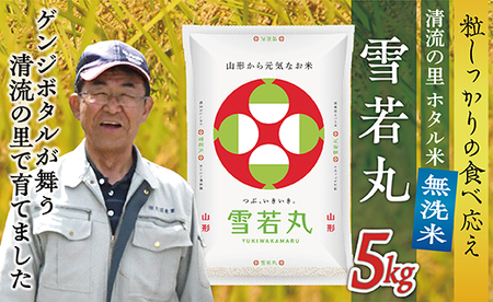 令和8年産 【無洗米】最上町産 ホタル米雪若丸5kg×1袋